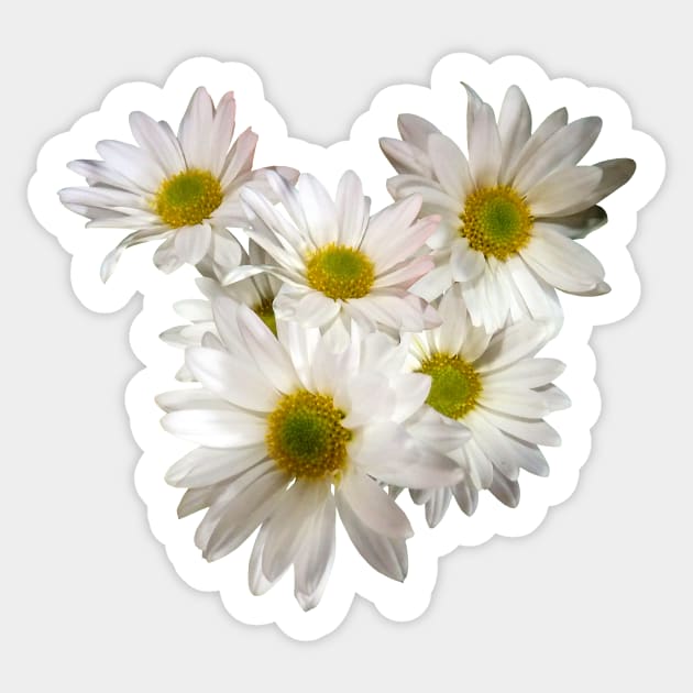 Daisies - Daisy Heart Sticker by SusanSavad